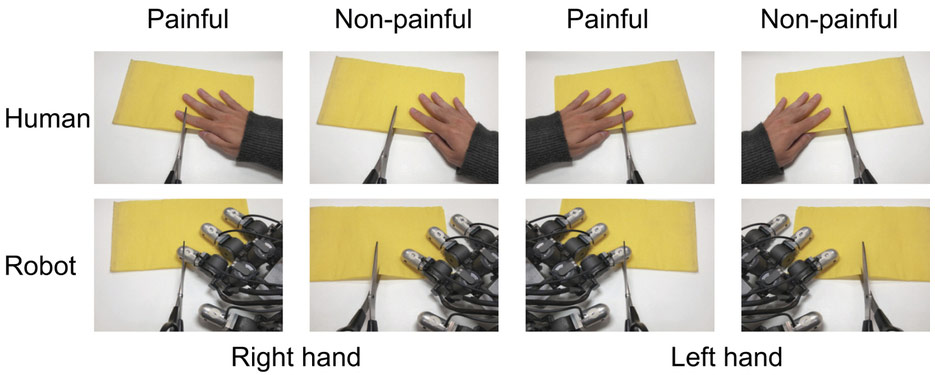 ヒトおよびロボットの手の痛みに対する共感を脳波記録法を用いて計測