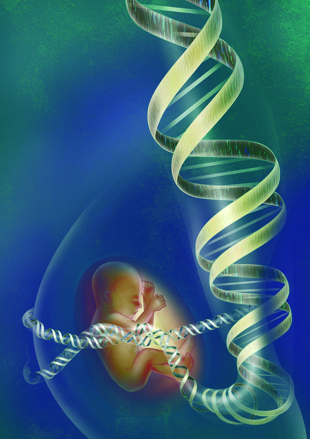 胎児ゲノムの非侵襲的スクリーニング