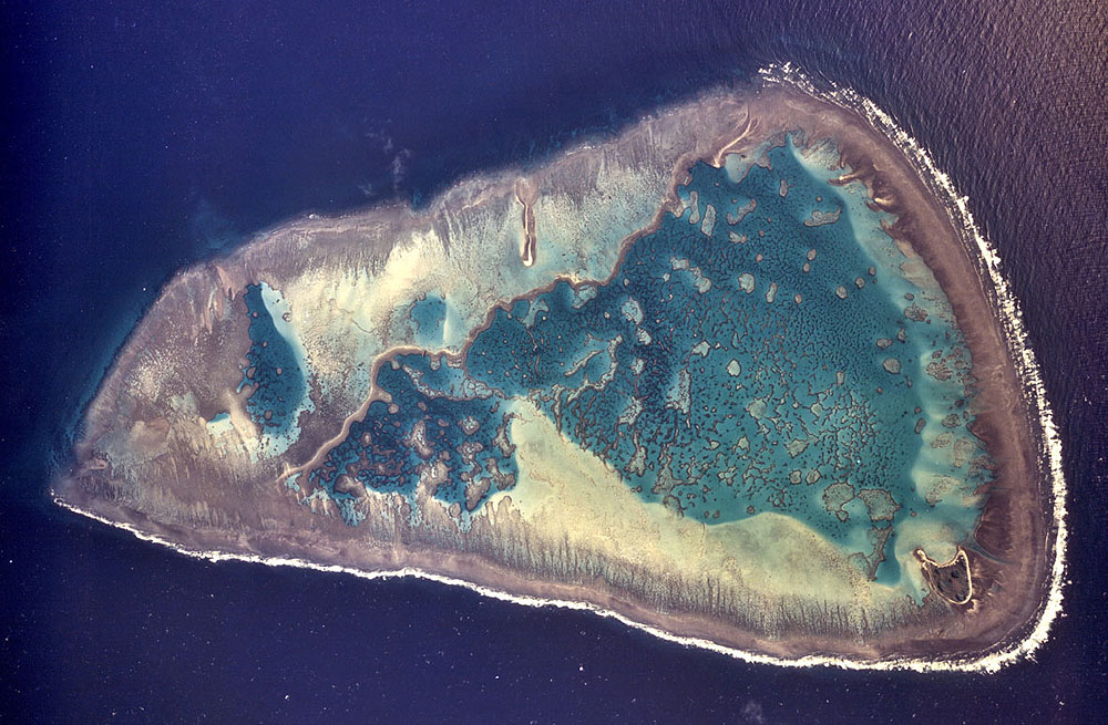 実験が行われた、オーストラリア・グレートバリアリーフ南部にある疑似環礁ワンツリーリーフ。