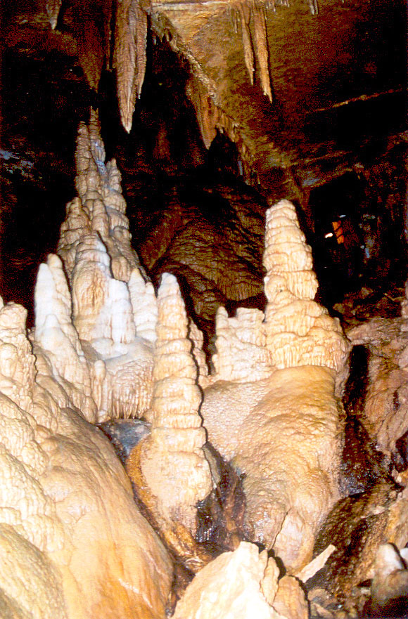 64万年間にわたって気候変化を記録してきた、中国Sanbao洞窟の二次生成物（石筍）。