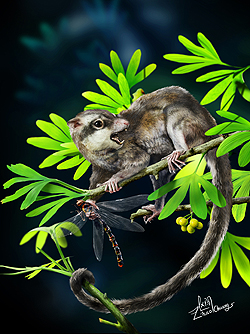 ジュラ紀の樹上性哺乳類<i>Arboroharamiya jenkinsi</i>の再現画像。