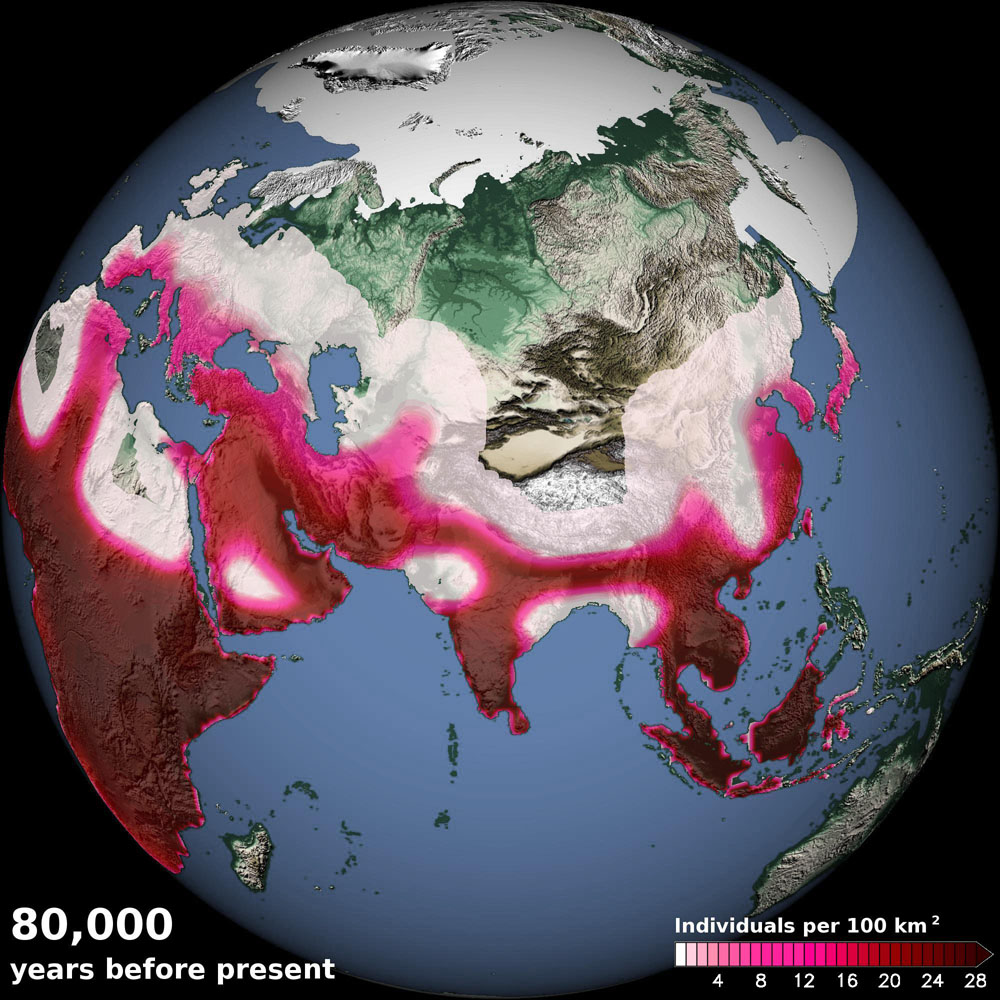 今回の数値モデルによるシミュレーションで得られた、今から8万年前の人口密度分布。