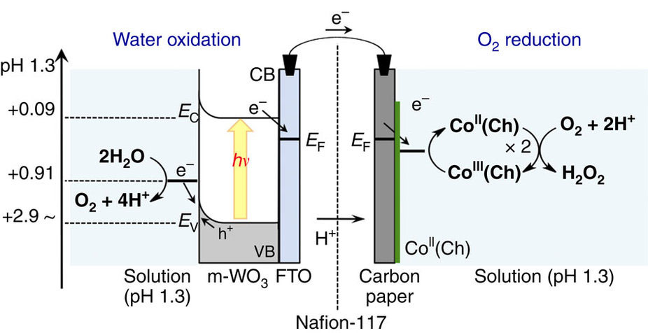 ソーラー燃料（solar fuel）としての過酸化水素の生成と消費に海水が利用できる