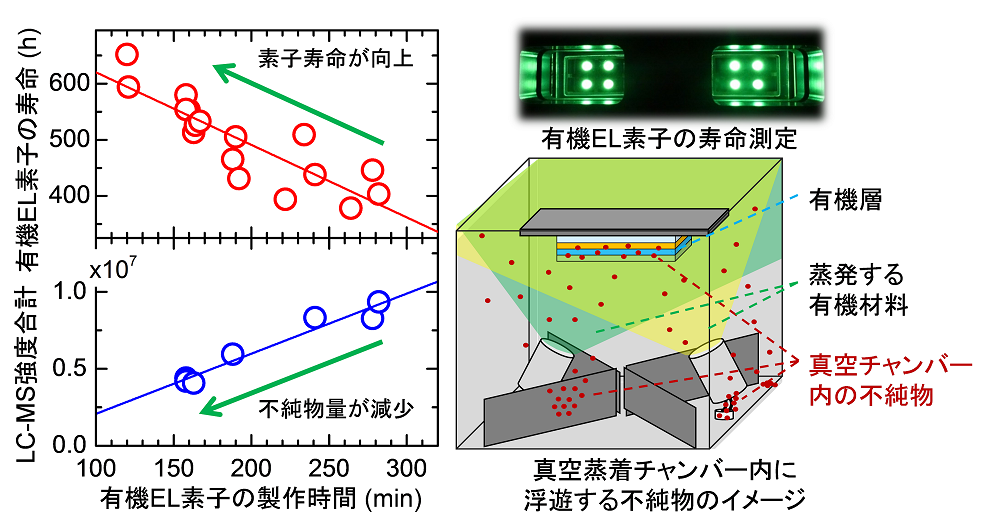 真空チャンバー内の不純物が有機 EL素子の寿命に与える影響