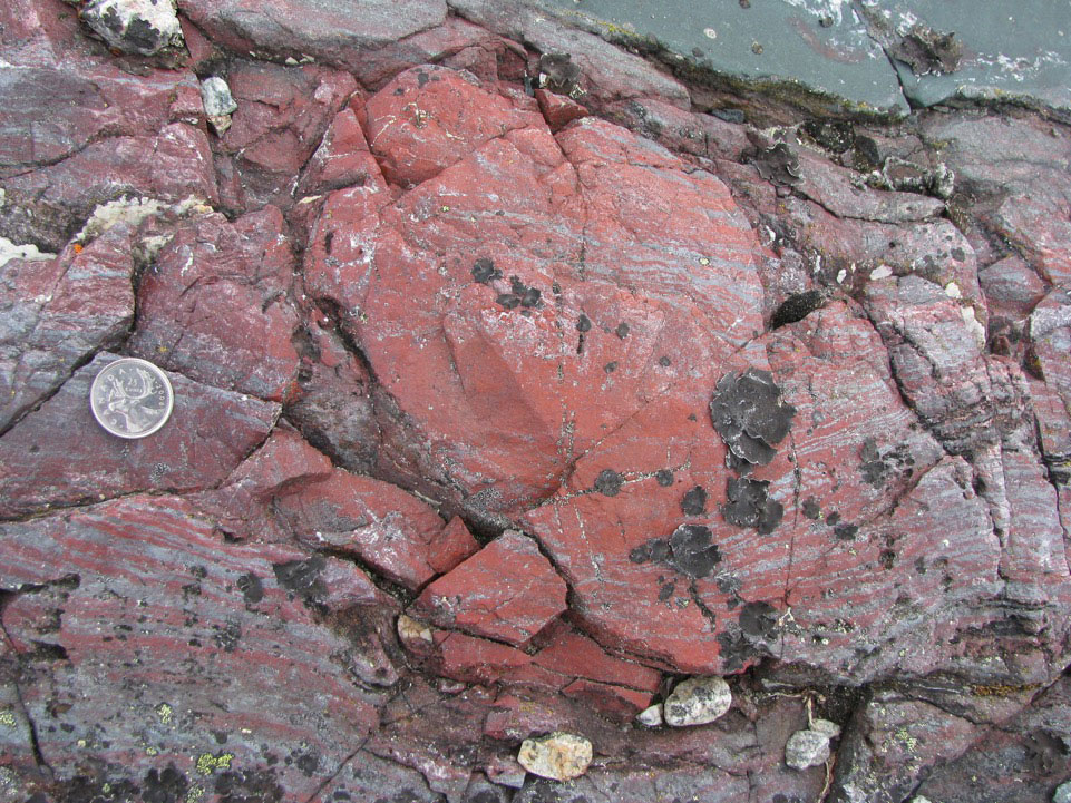 今回、管状および糸状の微化石が見いだされた、カナダ・ケベック州ヌブアギトゥク表成岩帯の赤鉄鉱チャートの団塊。