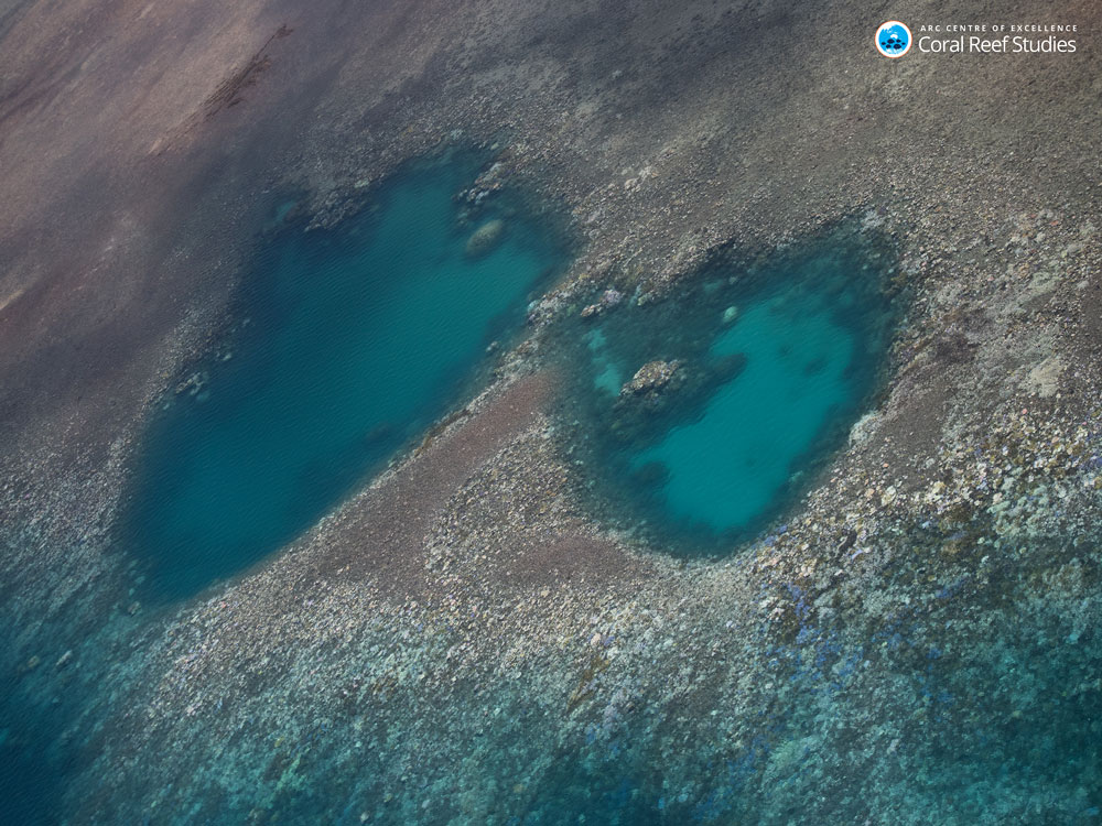 グレートバリアリーフ北部の白化が進んだサンゴ礁の様子（2016年3月に航空機から撮影）。