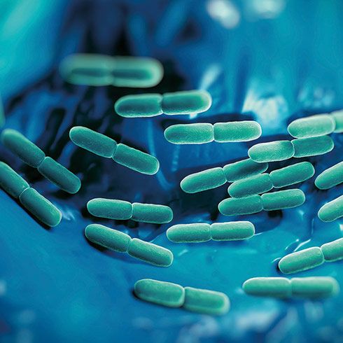 The Global Grants for Gut Health