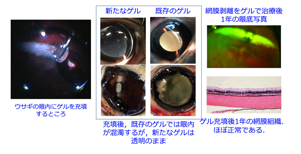 図5