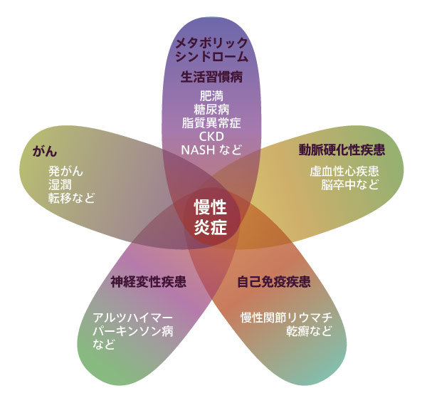 図1