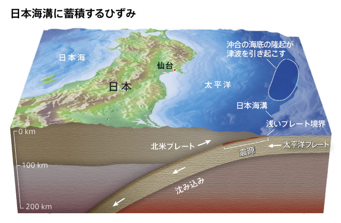 図1
