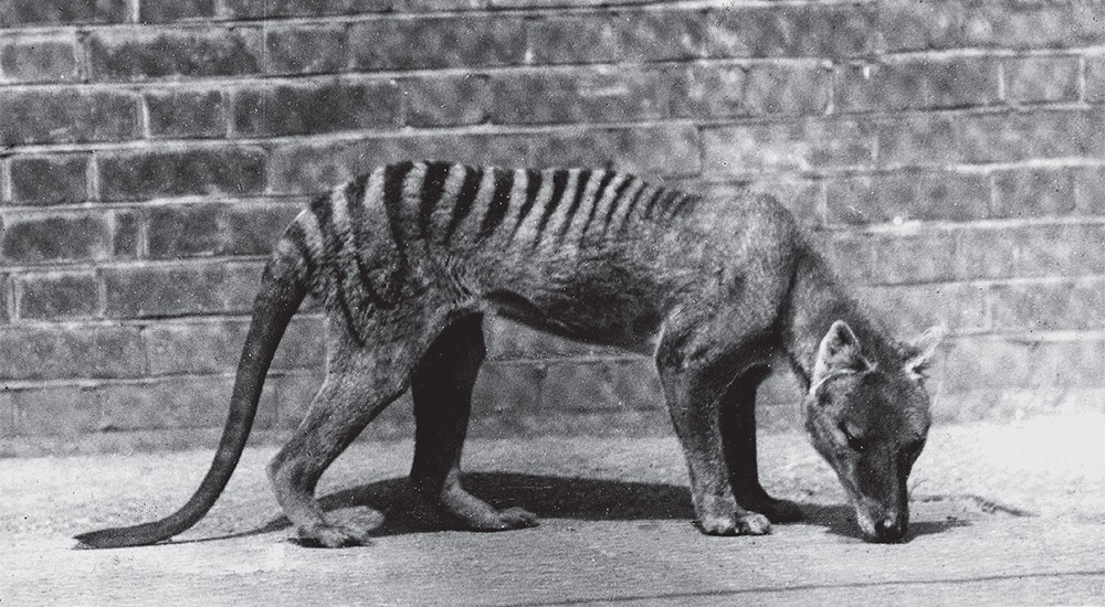 目次 Nature ダイジェスト Nature Research