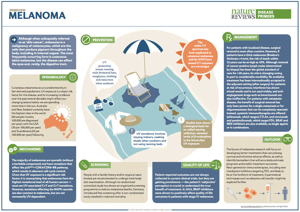 図3:PrimeView
