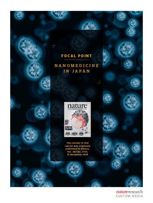 Focal Point on Nanomedicine in Japan