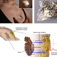 心電図を記録するウルトラフレキシブル有機差動増幅器