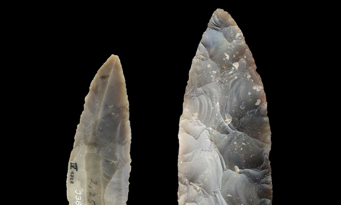 ホモ・サピエンスの北方への拡大は予想より早かった