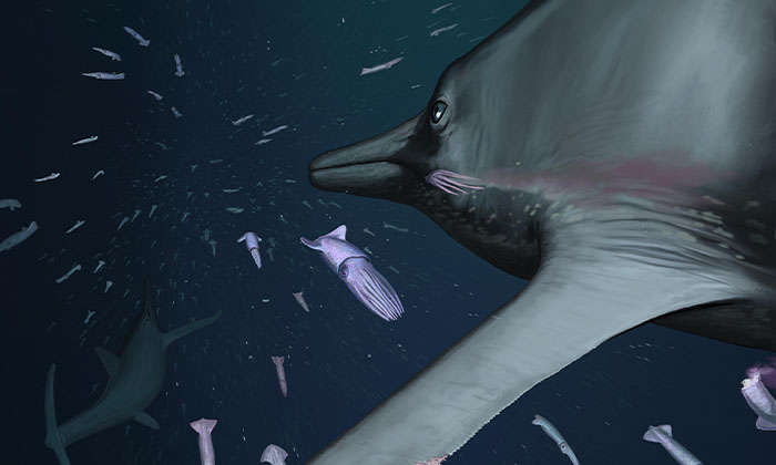 「隠密遊泳」を可能にした大型魚竜の鰭