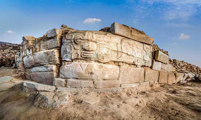 中国の新石器時代の要塞都市の慣習を古代DNAでひもとく