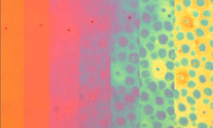 軟体動物の擬態に着想を得た高分子薄膜