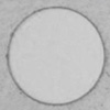 蛍光標識した生体微小組織のレーザー切り抜き法（LMD法）で明らかとなったマウス海馬領域における遺伝子活性化パターン