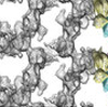 ミドリムシの4回膜貫通型タンパク質IP39は非対称な三量体を最小繰り返し単位とする線状重合体を形成する