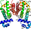 複数の薬剤を伴った多剤耐性調節因子RamRの結晶構造