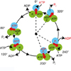 無機リン酸解離のタイミングは、ATPで駆動する回転モータータンパク質の触媒活性を制御している