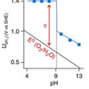 中性pHにおける酸化マンガンによる高効率水分解を目的としたプロトン共役電子移動の調節
