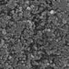メタノール耐性酸素還元電解触媒としての白金修飾共有結合性トリアジン骨格とカーボンナノ粒子のハイブリッド
