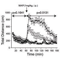 Gomafu lncRNAノックアウトマウスは覚醒剤メタンフェタミンに対する応答性亢進を伴うマイルドな自発運動活性の上昇を示す