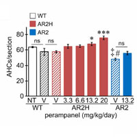 AMPA受容体アンタゴニストのペランパネルは孤発性の筋萎縮性側索硬化症（ALS）モデルマウスの病態を顕著に回復させる