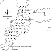 環境DNAメタバーコーディングが明らかにする種の多様な日本沿岸の魚類相
