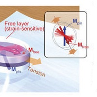 ひずみ方向を検知するフレキシブルな巨大磁気抵抗デバイス