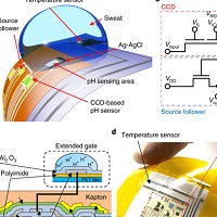 フレキシブルな電荷結合素子を利用した高感度ウェアラブルpHセンサー