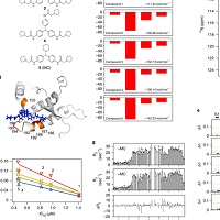 伝達性海綿状脳症に対するデザイナー分子シャペロンがマウスおよびマカクの疾患進行を遅らせる