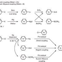 有機ナトリウム化合物による触媒的クロスカップリング