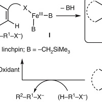 反応物質の過渡的結合を経る、鉄触媒を用いる芳香族化合物のホモカップリングフリーの二重C–H活性化/クロスカップリング