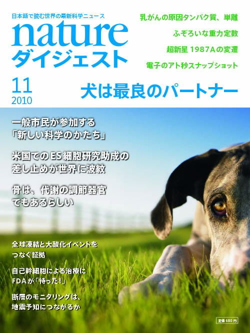 Volume 7 Number 11