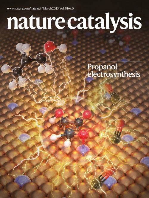 Nature Catalysis | Portfolio