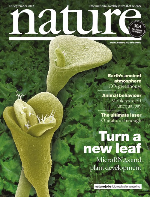 Nature 目次の表紙