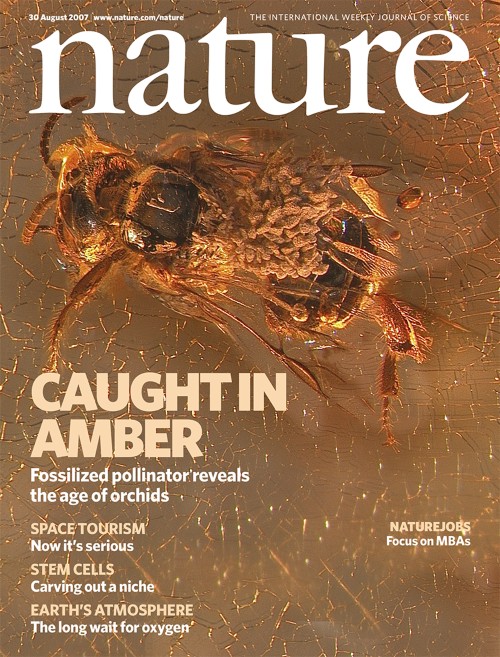 Nature 目次の表紙