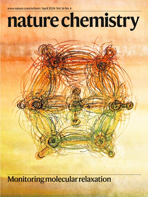 Nature Chemistryの表紙