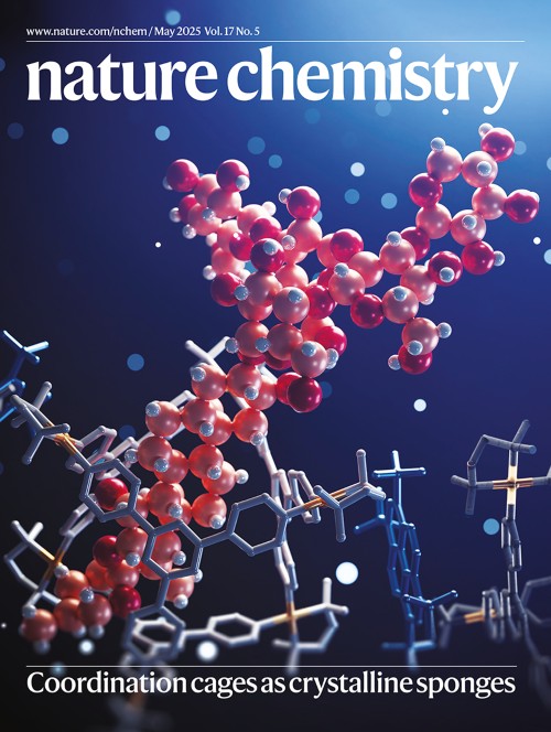 Nature Chemistryの表紙