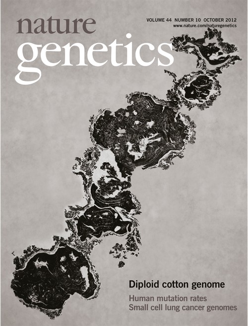 Nature Genetics目次の表紙