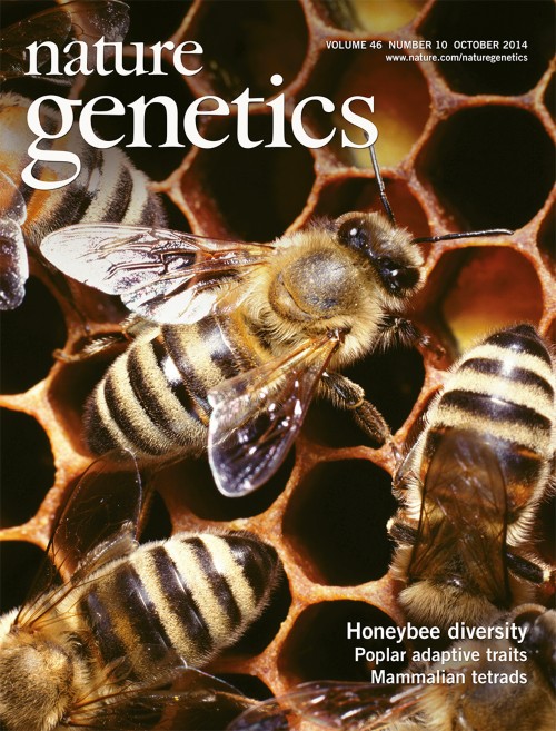 Nature Genetics目次の表紙