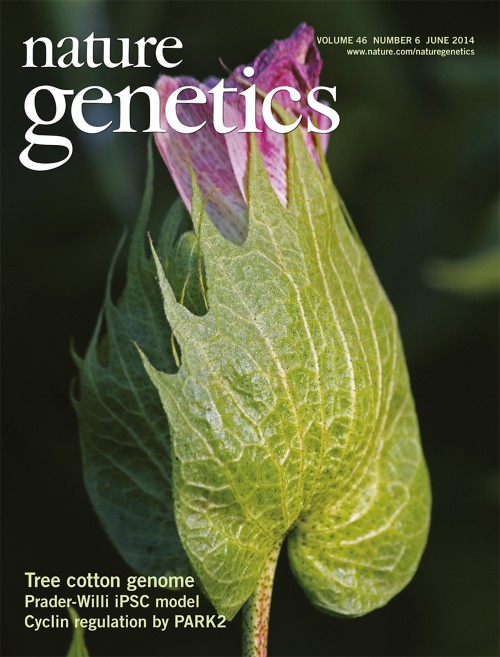 Nature Genetics目次の表紙