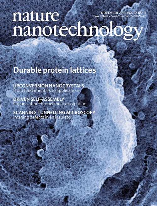 Nature Nanotechnology目次の表紙