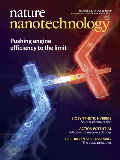 Nature Nanotechnology目次の表紙