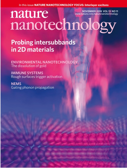 Nature Nanotechnology目次の表紙