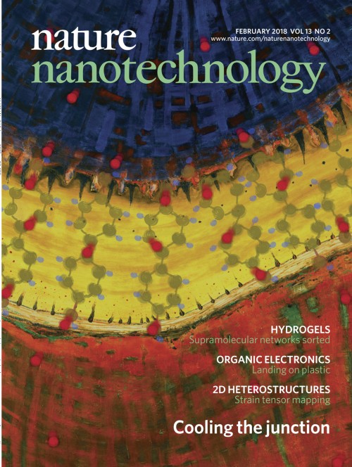 Nature Nanotechnology目次の表紙