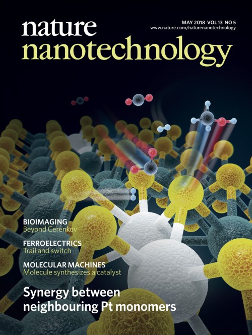 Nature Nanotechnology目次の表紙